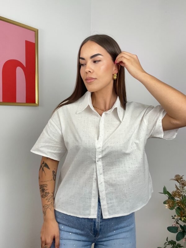 Camisa Lino brillo